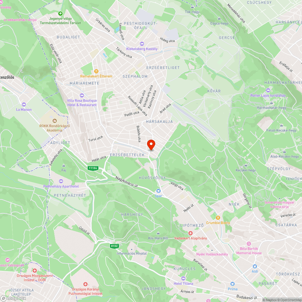 60 cm átmérőjű kátyú bejelentés helye