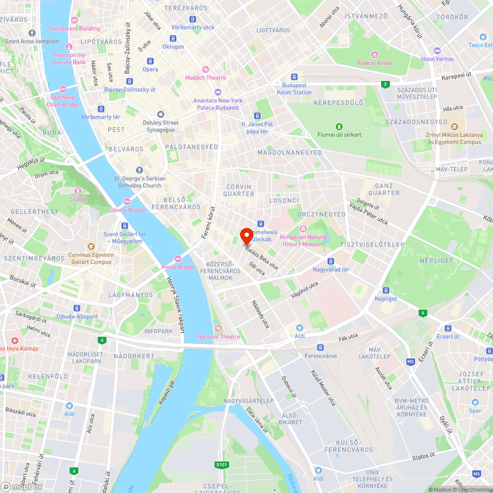Embermagasságú gaz/parlagfű a kerület szívében bejelentés helye