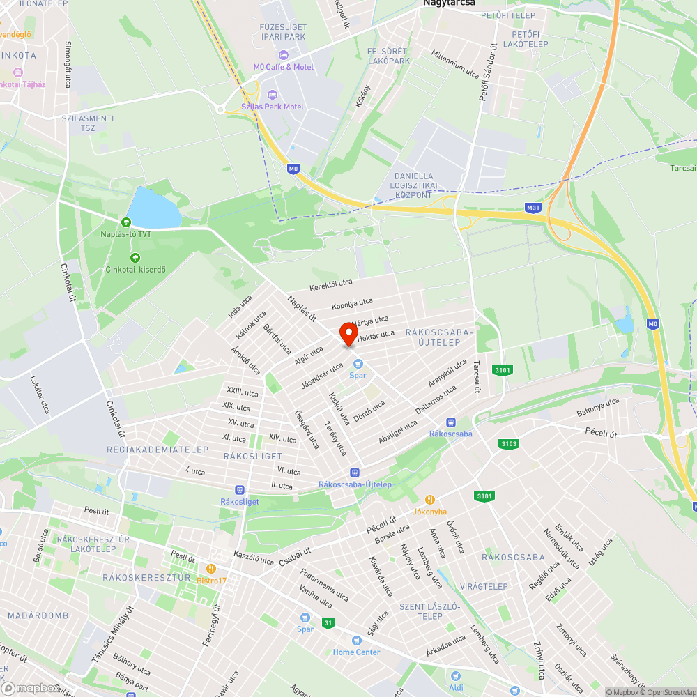 Gazdátlan zöldhulladék a Naplás úton bejelentés helye