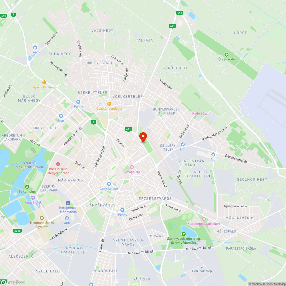 Elhanyagolt, kátyús járdaszakasz a Vasútpark mentén bejelentés helye
