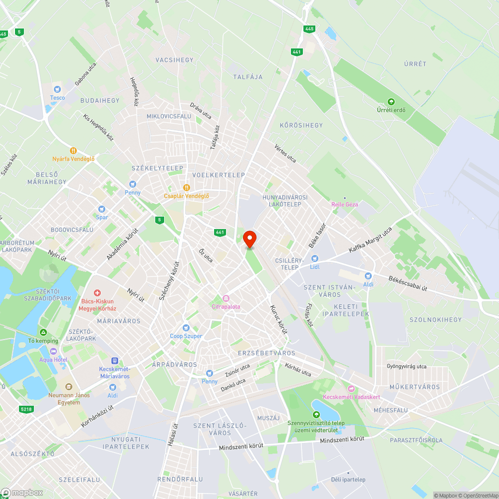 Kiszáradt fa a vasútkertben bejelentés helye