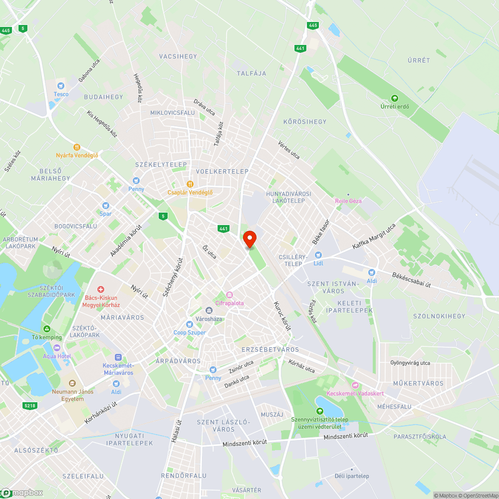 Kiszáradt fa a Vasútkert szélén bejelentés helye