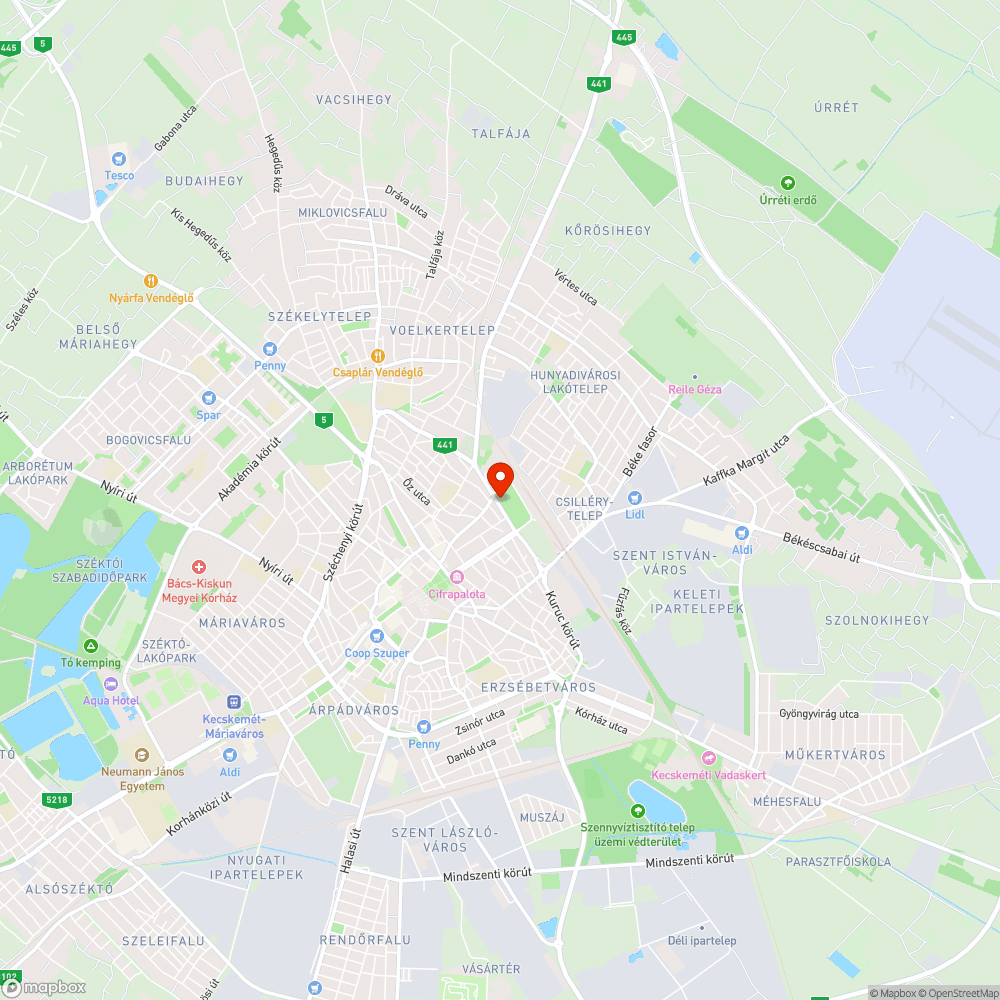 Kiszáradt fa a Vasútkertben a buszmegálló mögött bejelentés helye