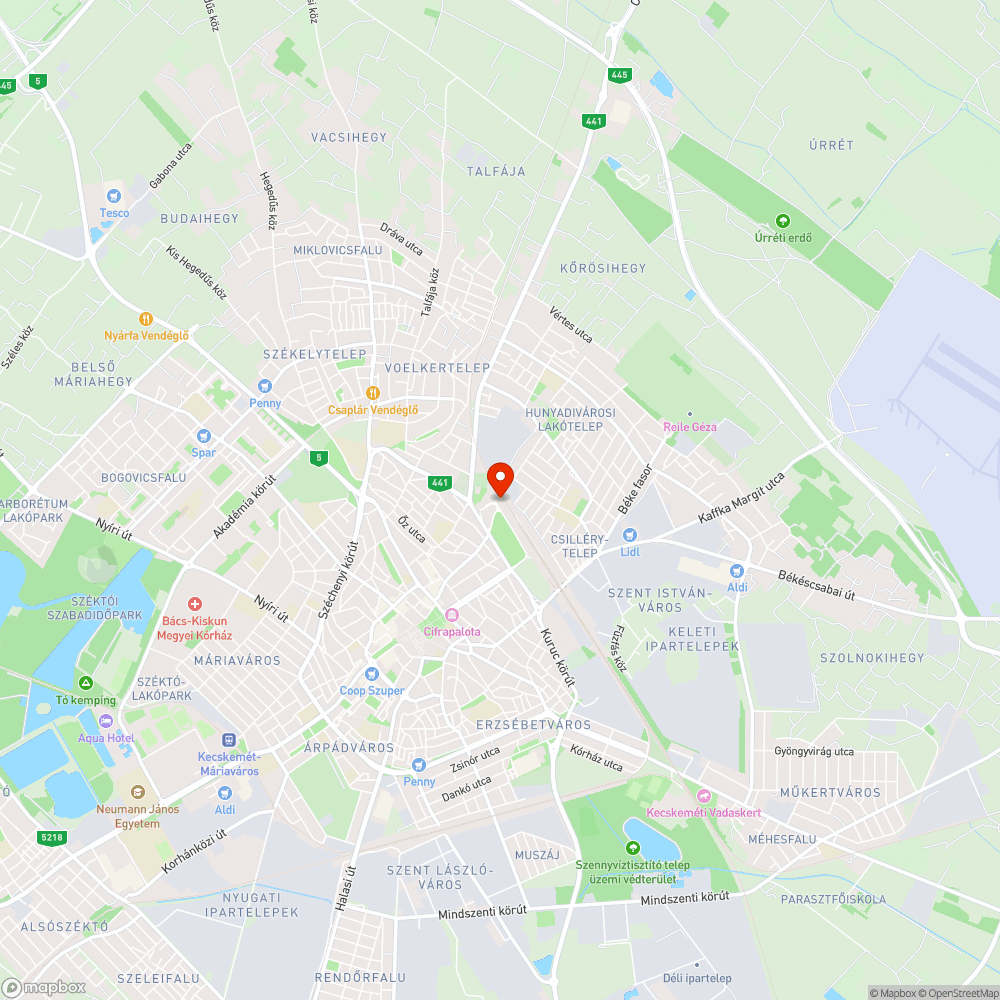Szeméttel, zöldhulladékkal teli terület a Vasútállomás mellett bejelentés helye