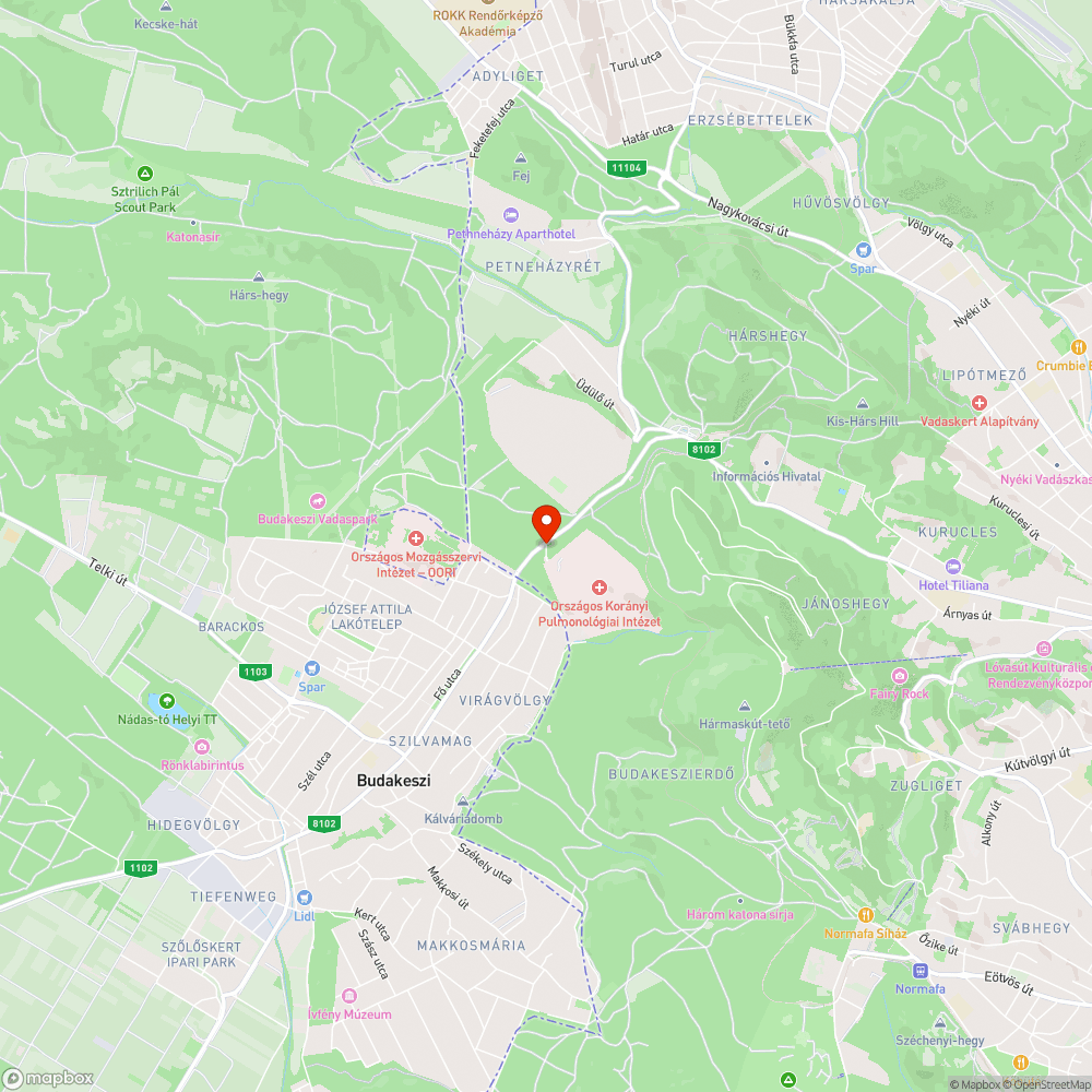 koszos utasváró, törött balesetveszélyes tető bejelentés helye