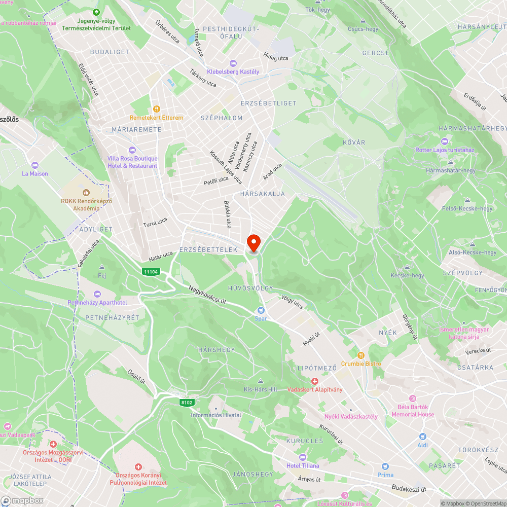 "Akadálymentes" parkoló bejelentés helye