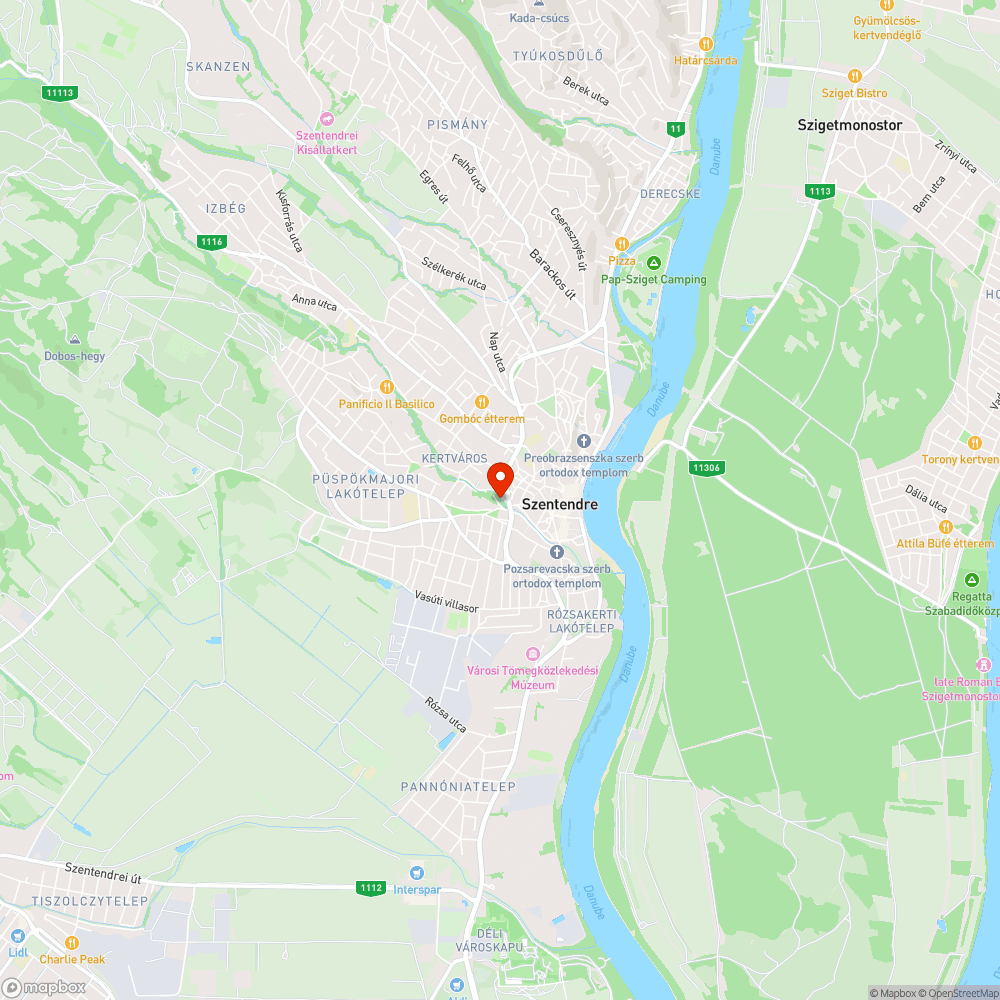 kidőlt szemétgyűjtő edény a Bükkös-part 40 előtt bejelentés helye