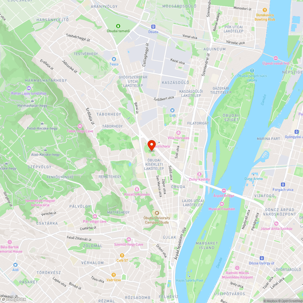 Kikerülhetetlen mély pocsolyák az óbudai járdán bejelentés helye