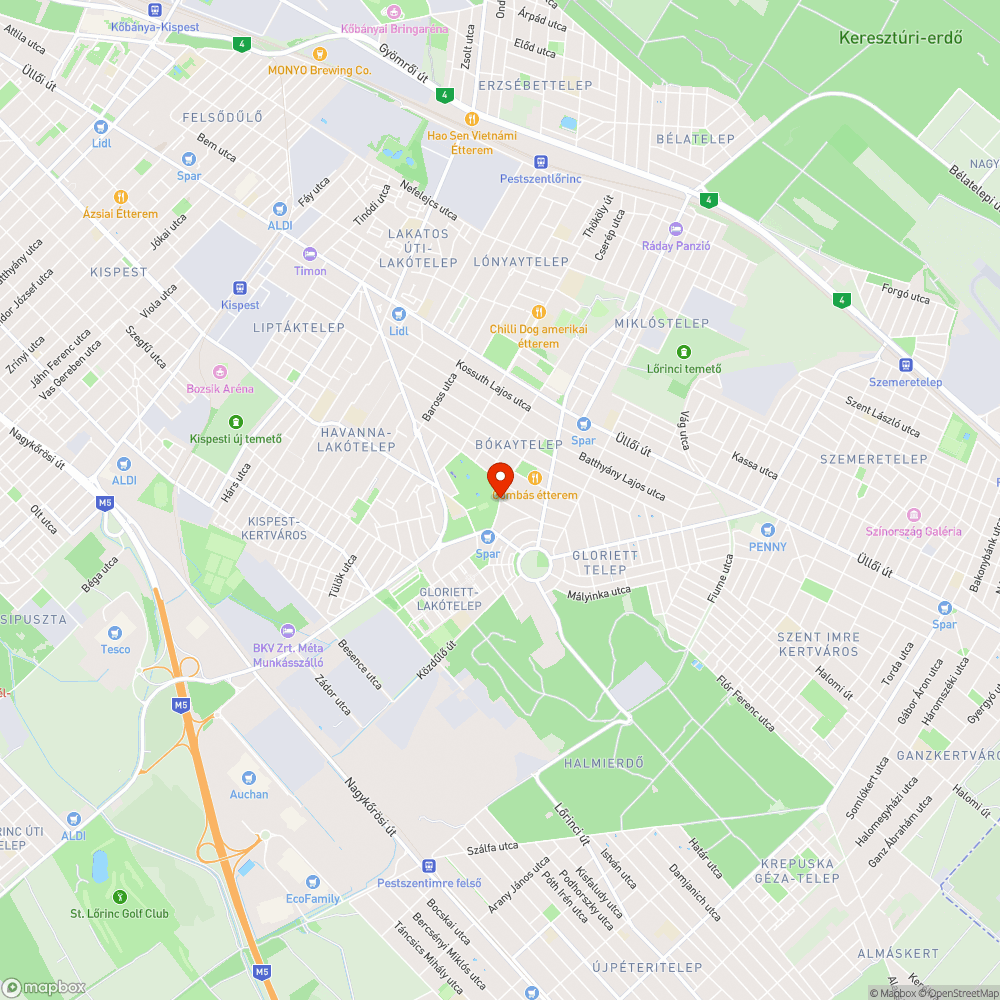 Hiányzó tükör bejelentés helye