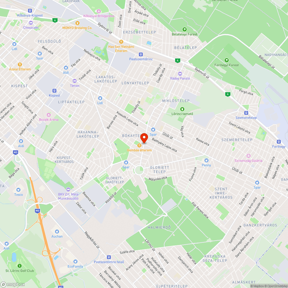 Szemétlerakás a Bányapark utcánál bejelentés helye