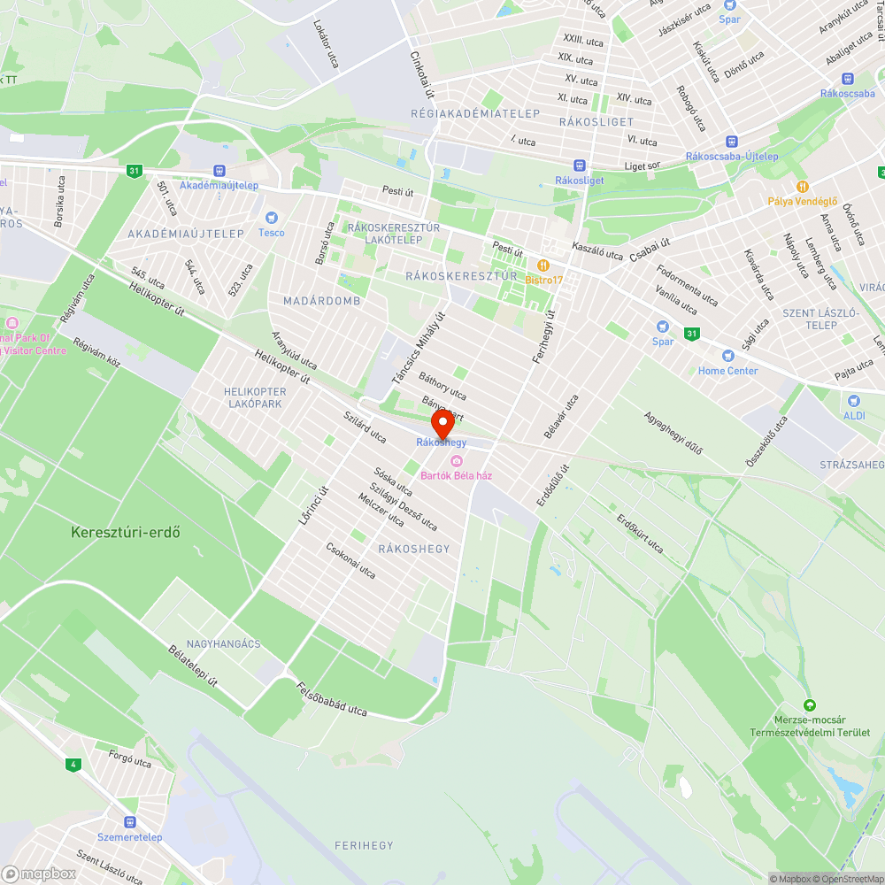 Pocsolya a járdán bejelentés helye