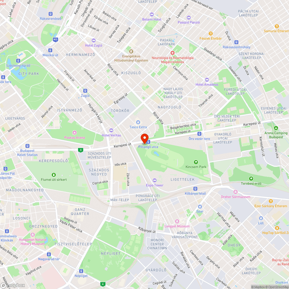 Döglött macska szemét már régóta bejelentés helye