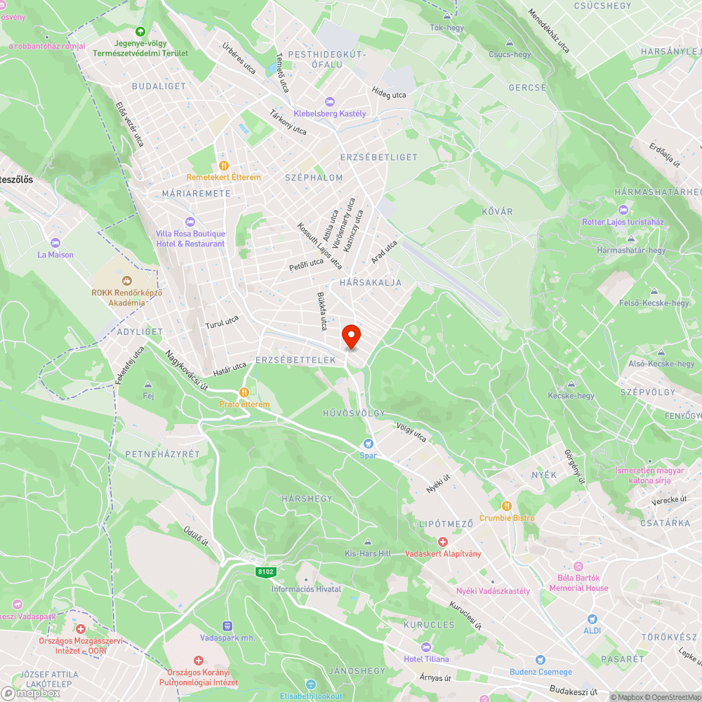 60 cm átmérőjű kátyú bejelentés helye