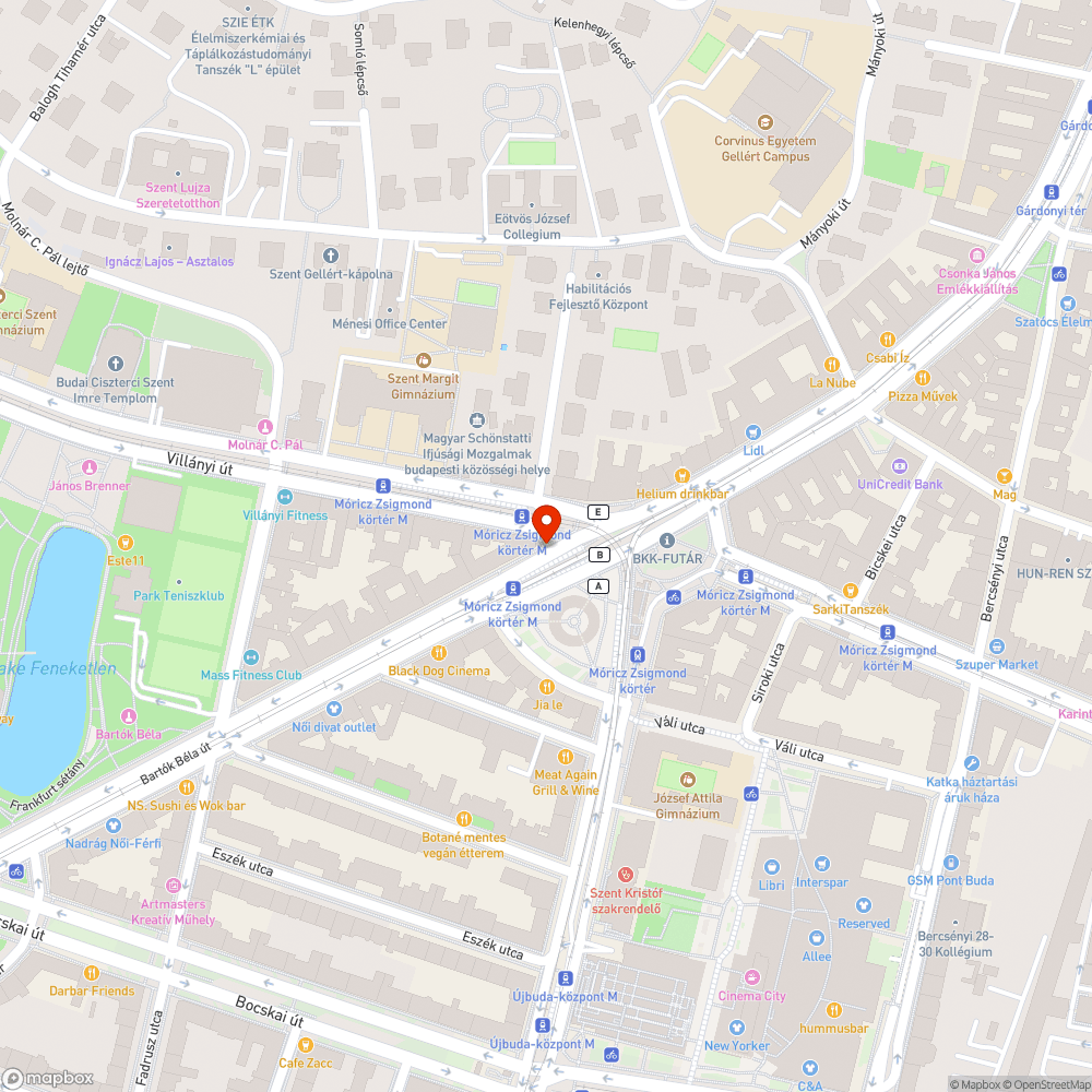 Nincs szemetes a Móricz Zsigmond körtéren a 7-es megállójában bejelentés helye