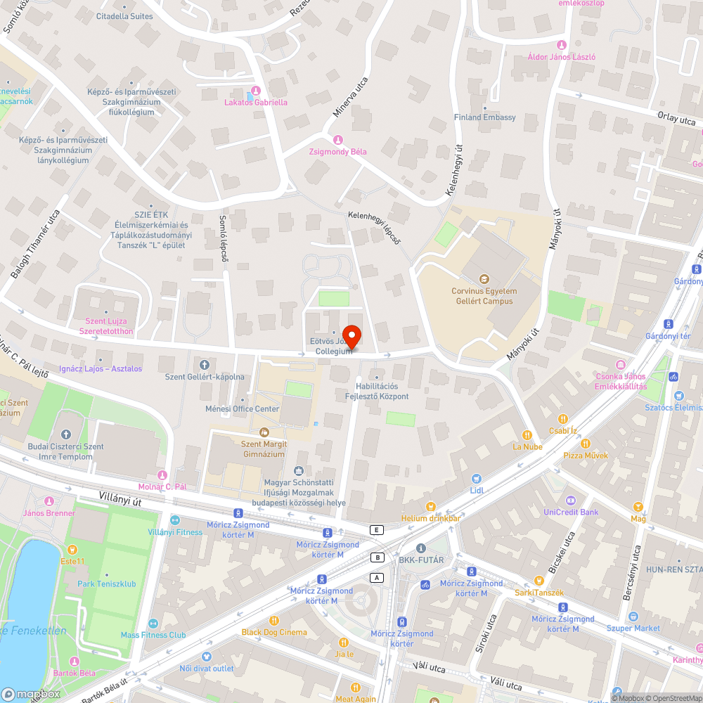 Ottfelejtett aszfaltmunkát jelölő igénytelenség bejelentés helye