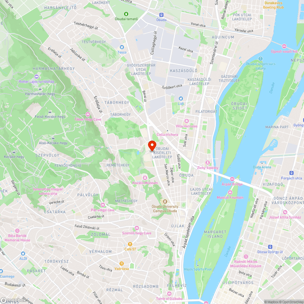 Dzsungel a járdaszigeten bejelentés helye