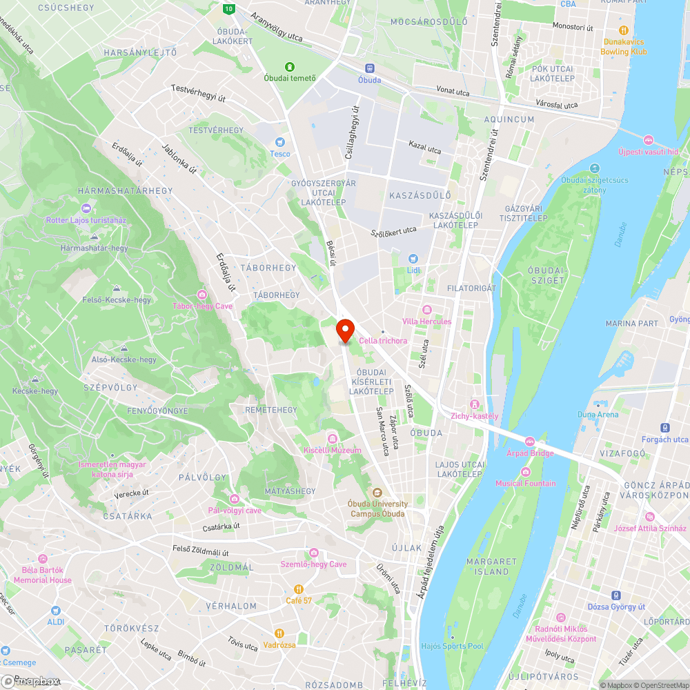 Kerékpáros útvonalon kijelölt parkoló bejelentés helye