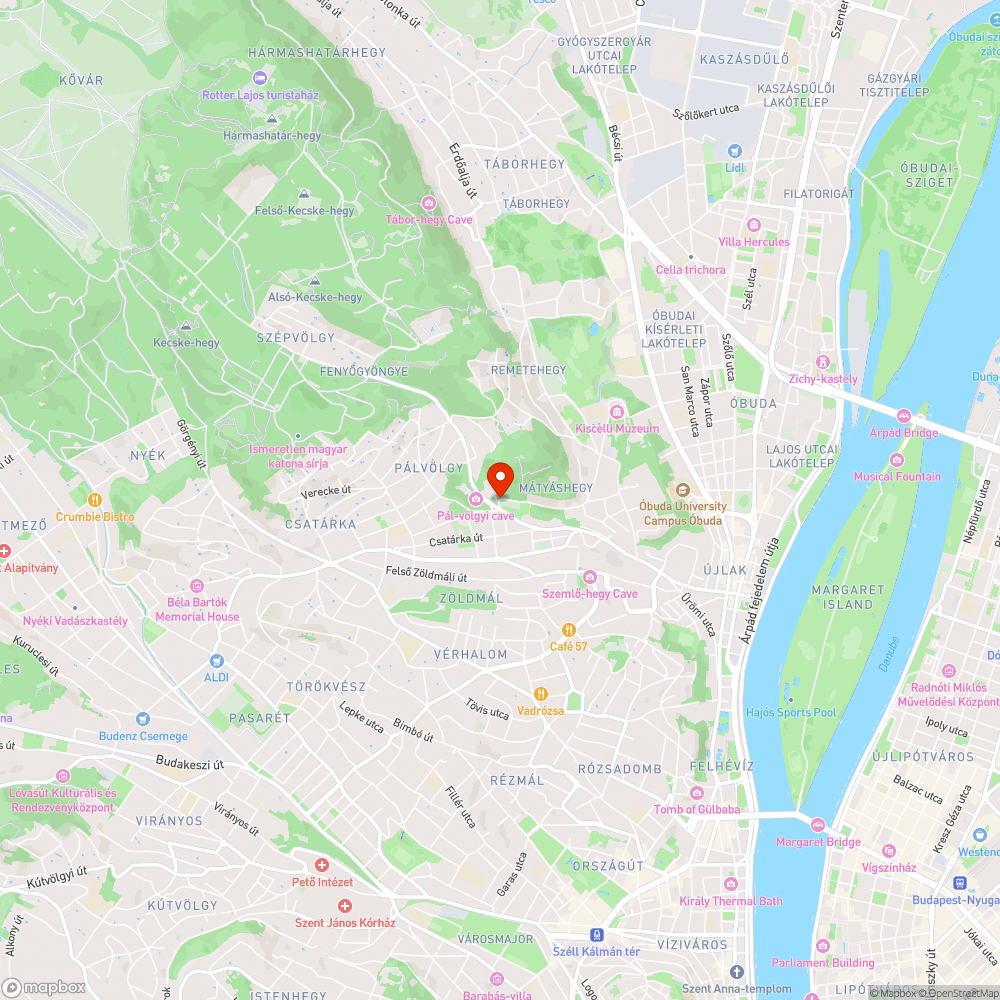 Mátyáshegyi tócsa bejelentés helye