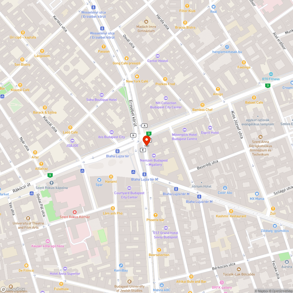 Parkolósáv a Blaha Lujza téren bejelentés helye