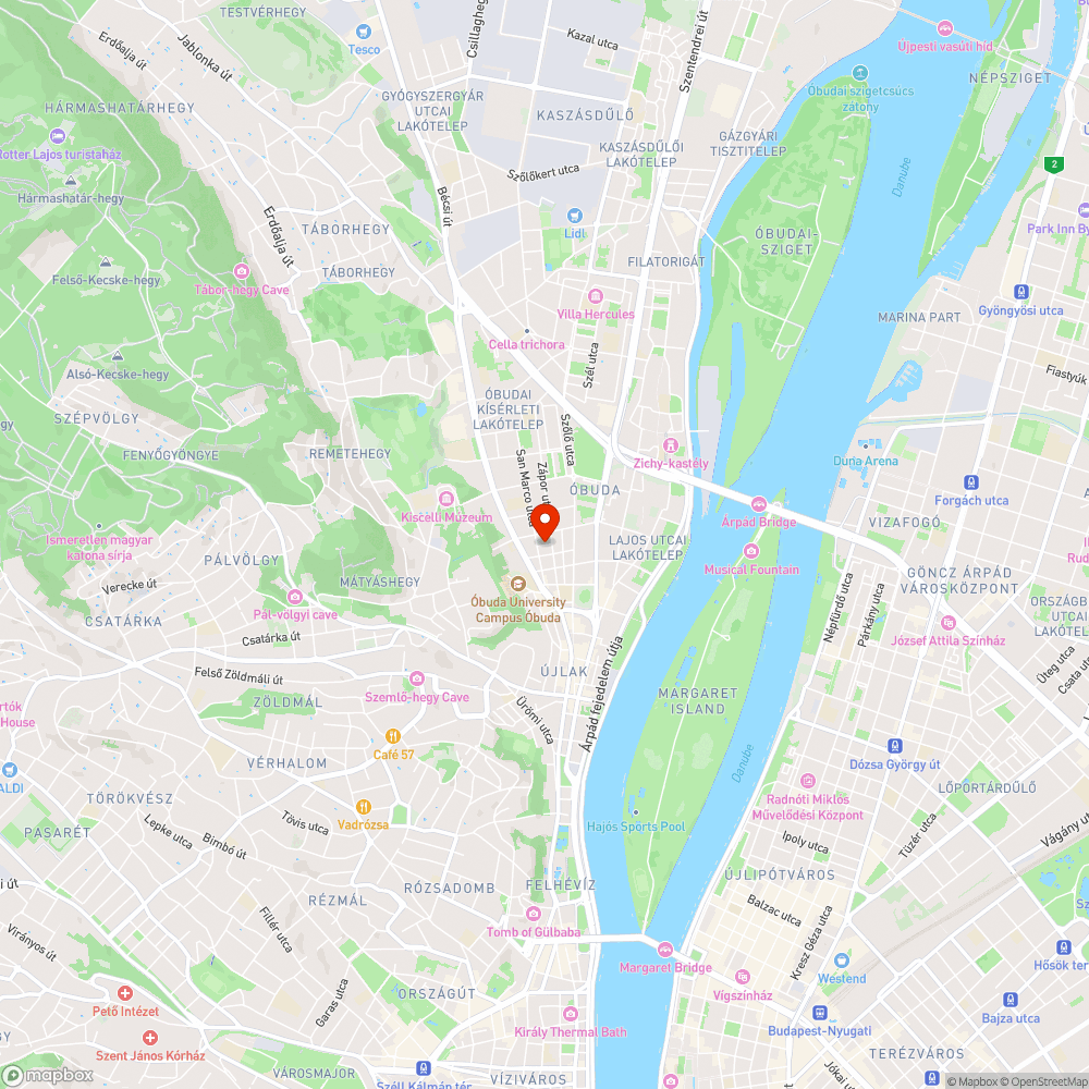 Kiszáradt fa az Eső utcában bejelentés helye