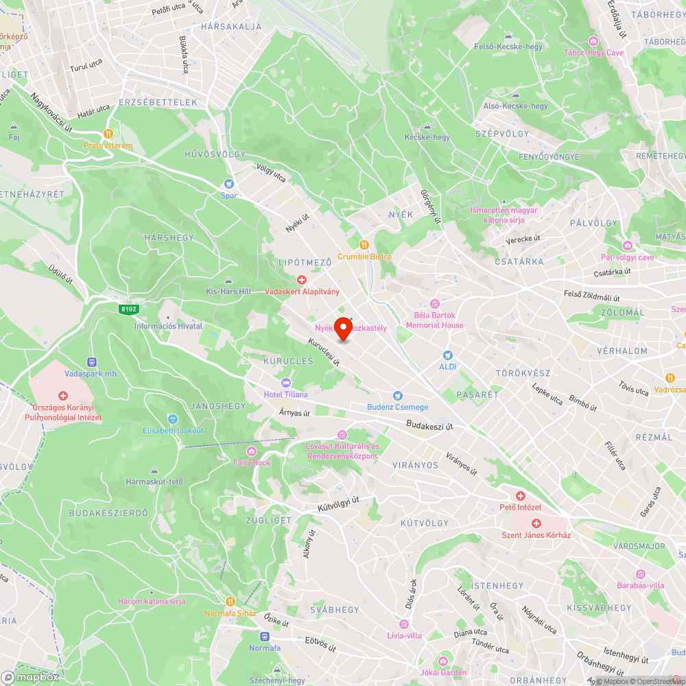 Óriás kátyú és kistestvére a II. kerület Bölöni György utcában bejelentés helye