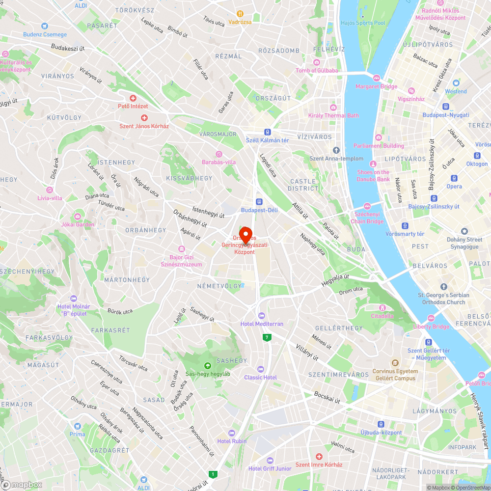 Kutyagumi bejelentés helye