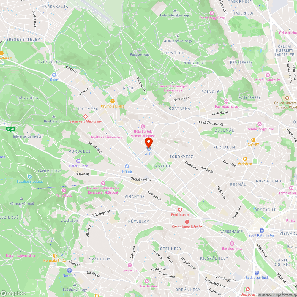 Mindennapos szabálytalan parkolás bejelentés helye