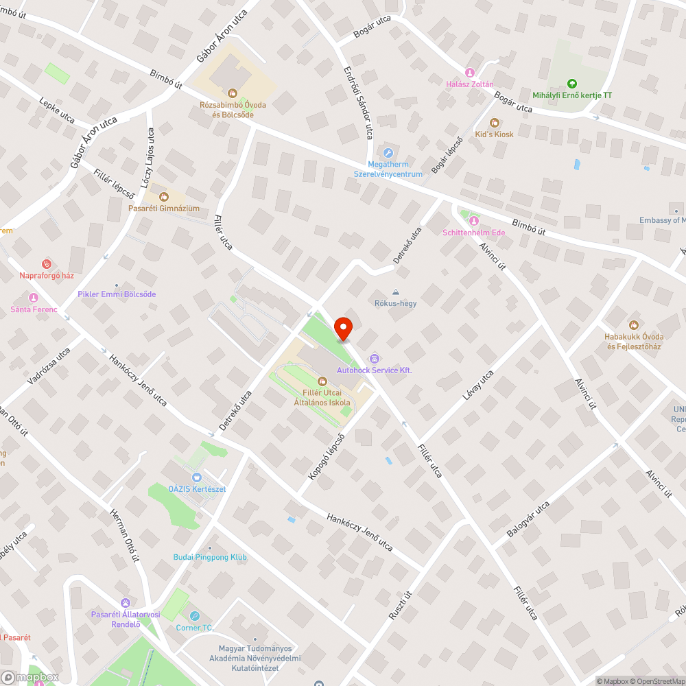 Veszélyes zebra bejelentés helye