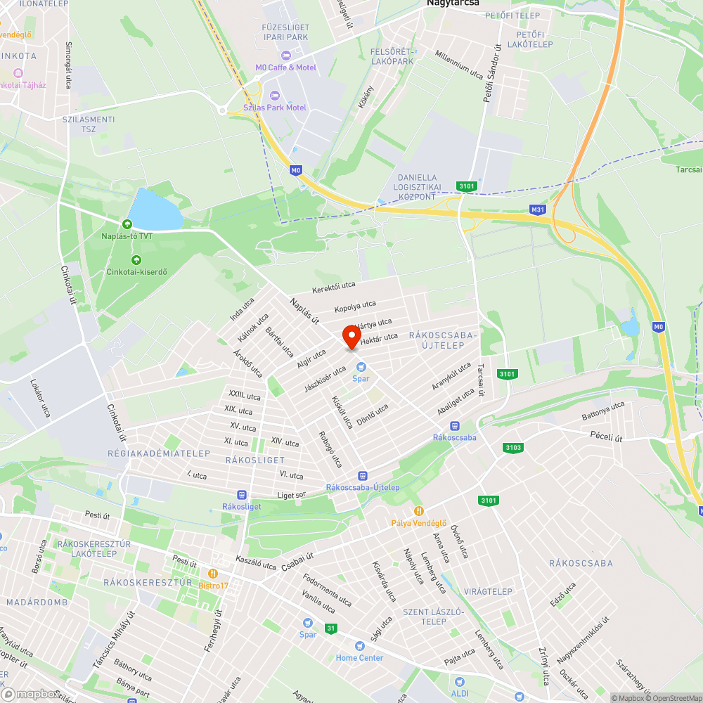 Gazdátlan zöldhulladék a Naplás úton bejelentés helye