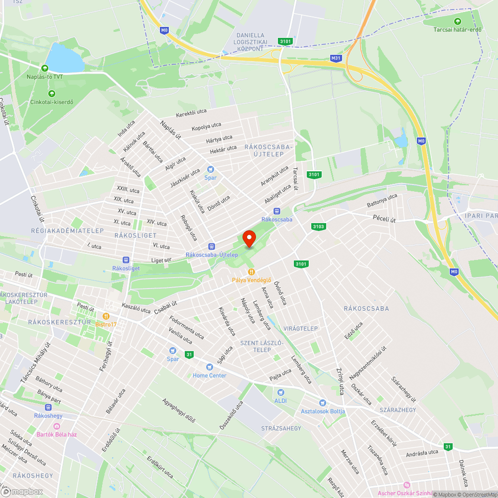 Gazdátlan gallyak a Rákos-patak partján bejelentés helye