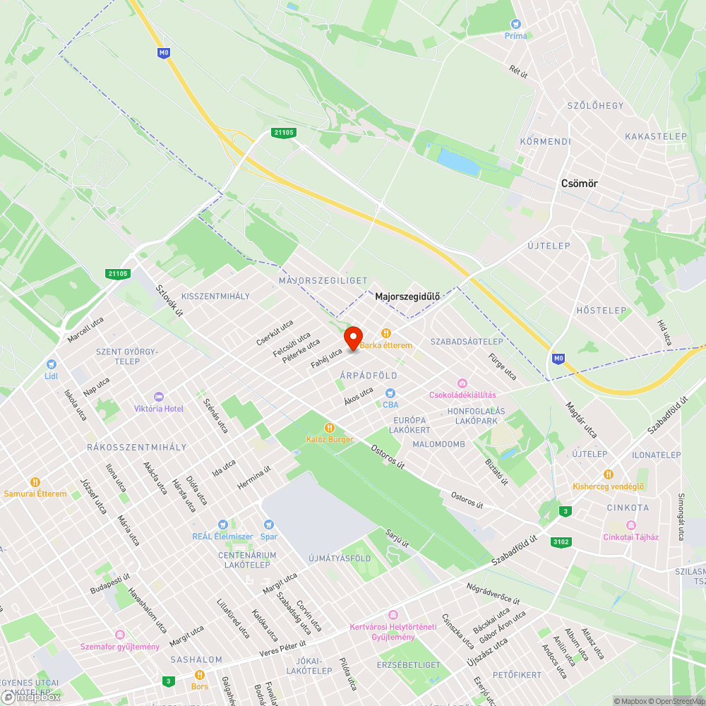 Parkoló autók a bicikliúton bejelentés helye