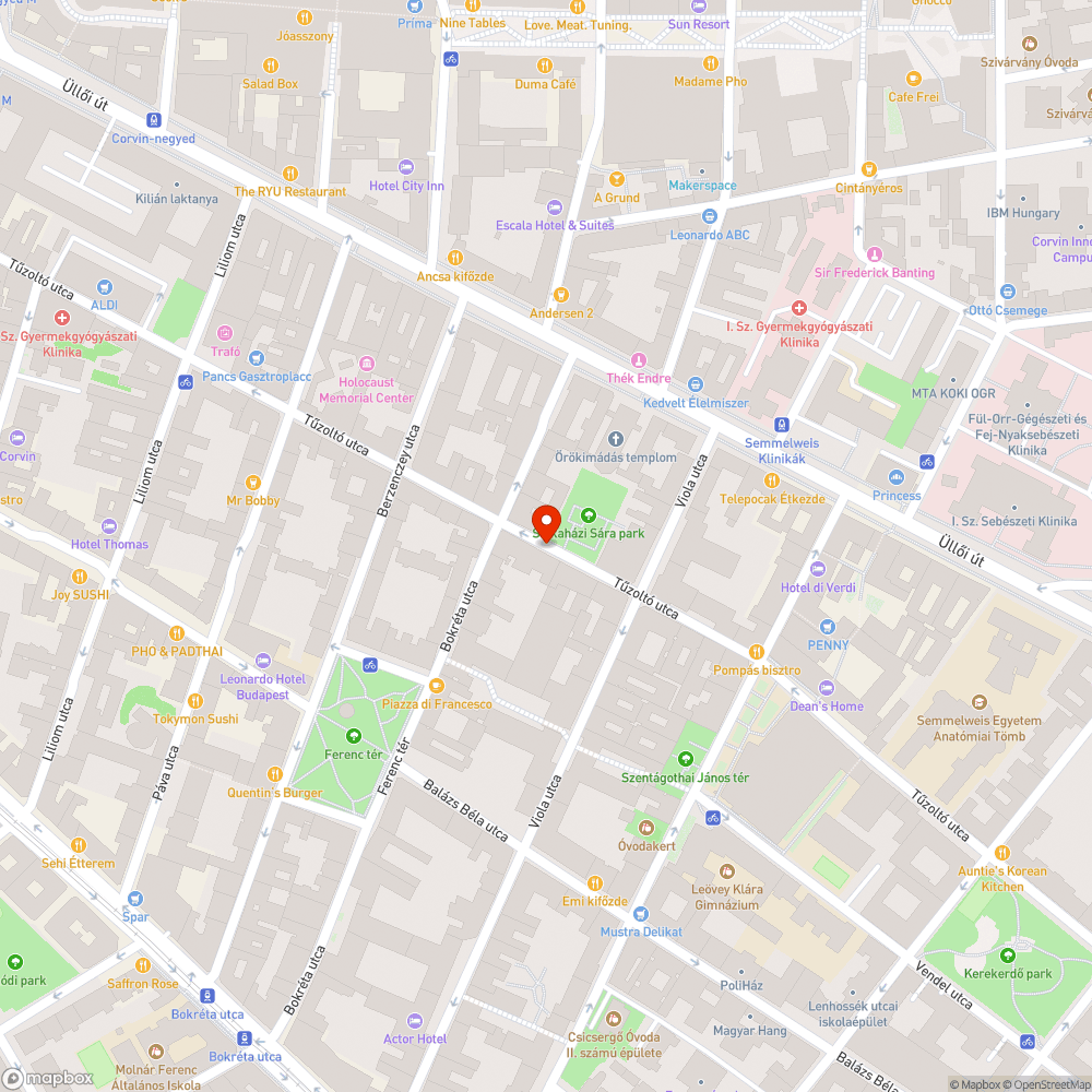 Gazdátlan autó bejelentés helye