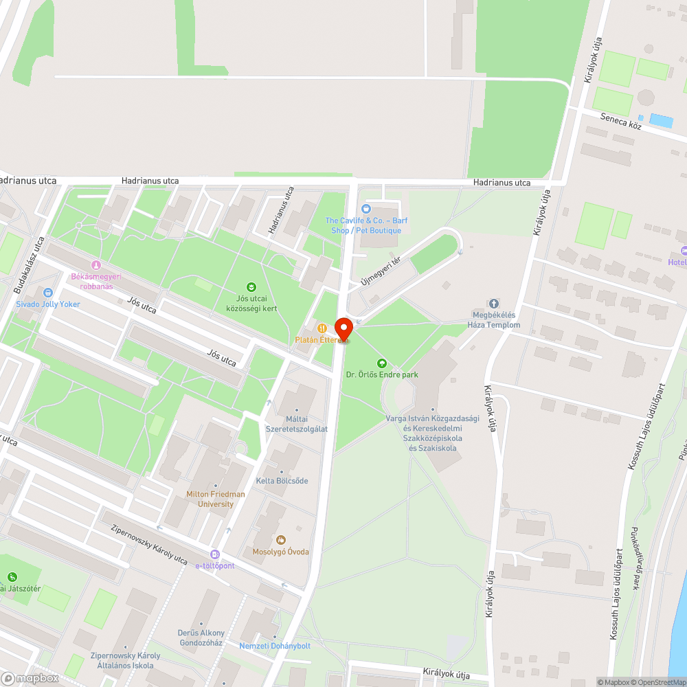 Sima szemetes hiánya bejelentés helye