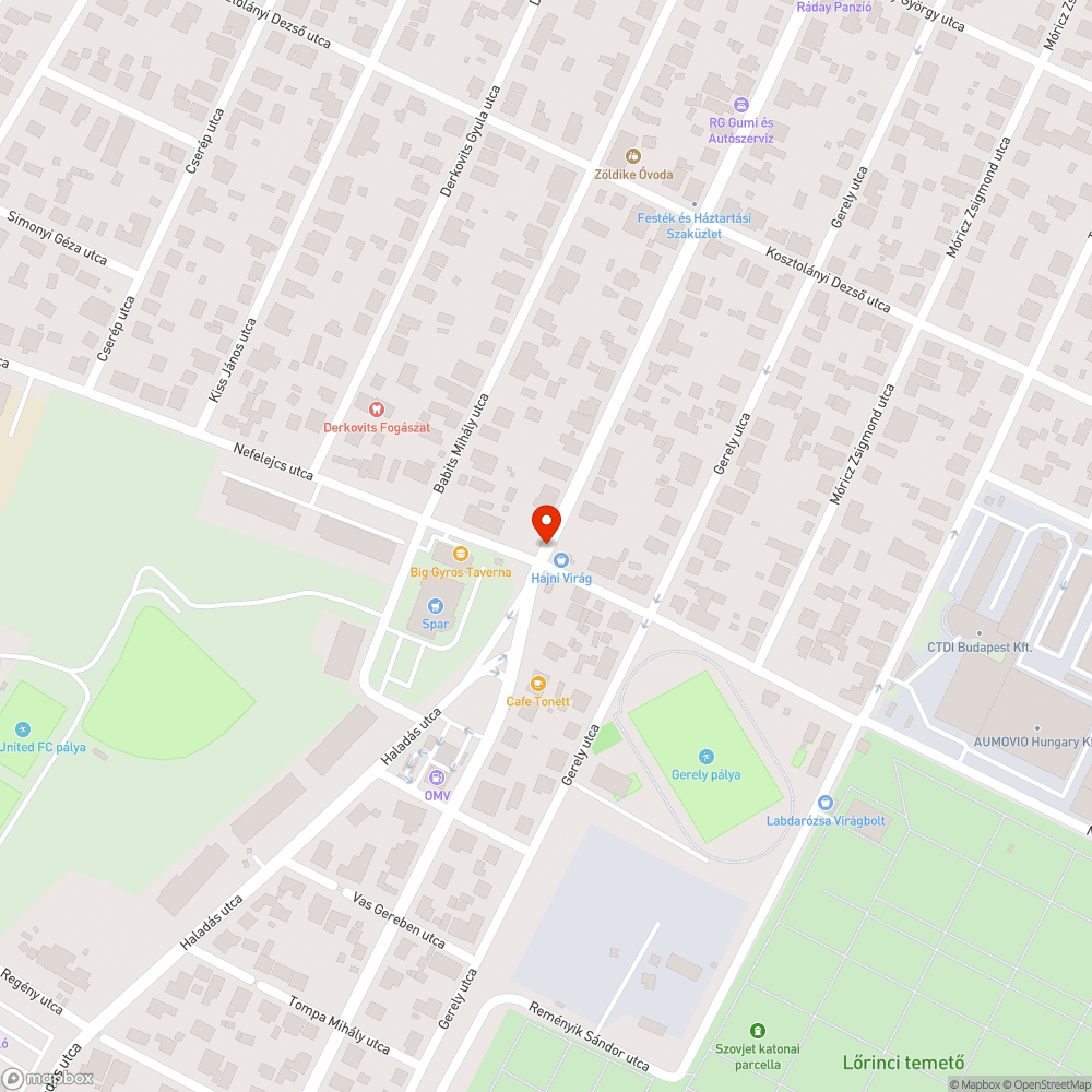 Lekopott útfestések bejelentés helye