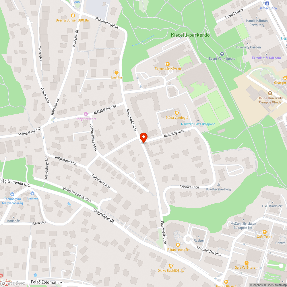 Botlásveszélyes csatornafedő bejelentés helye