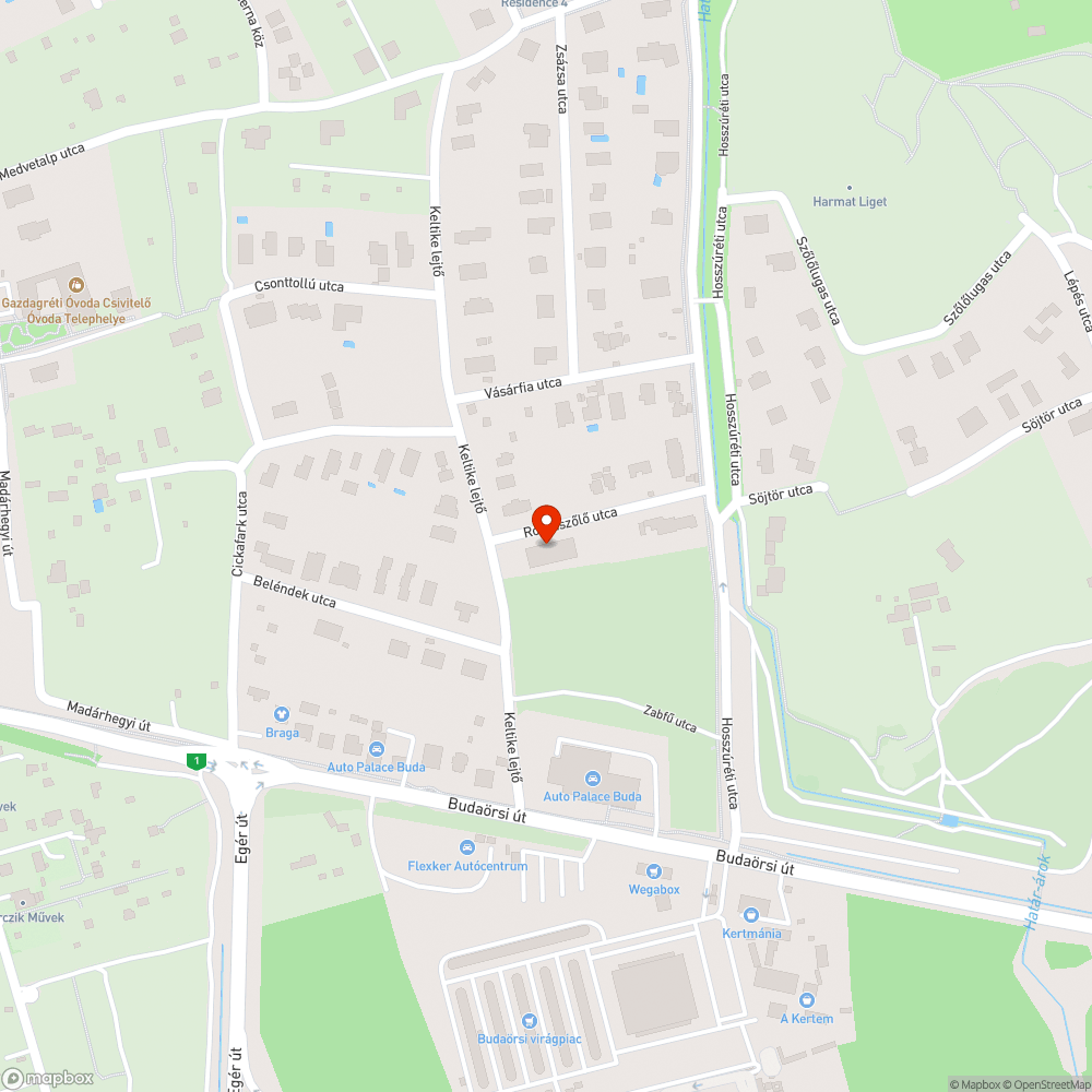 Rózsaszőlő utcában nincs járda bejelentés helye