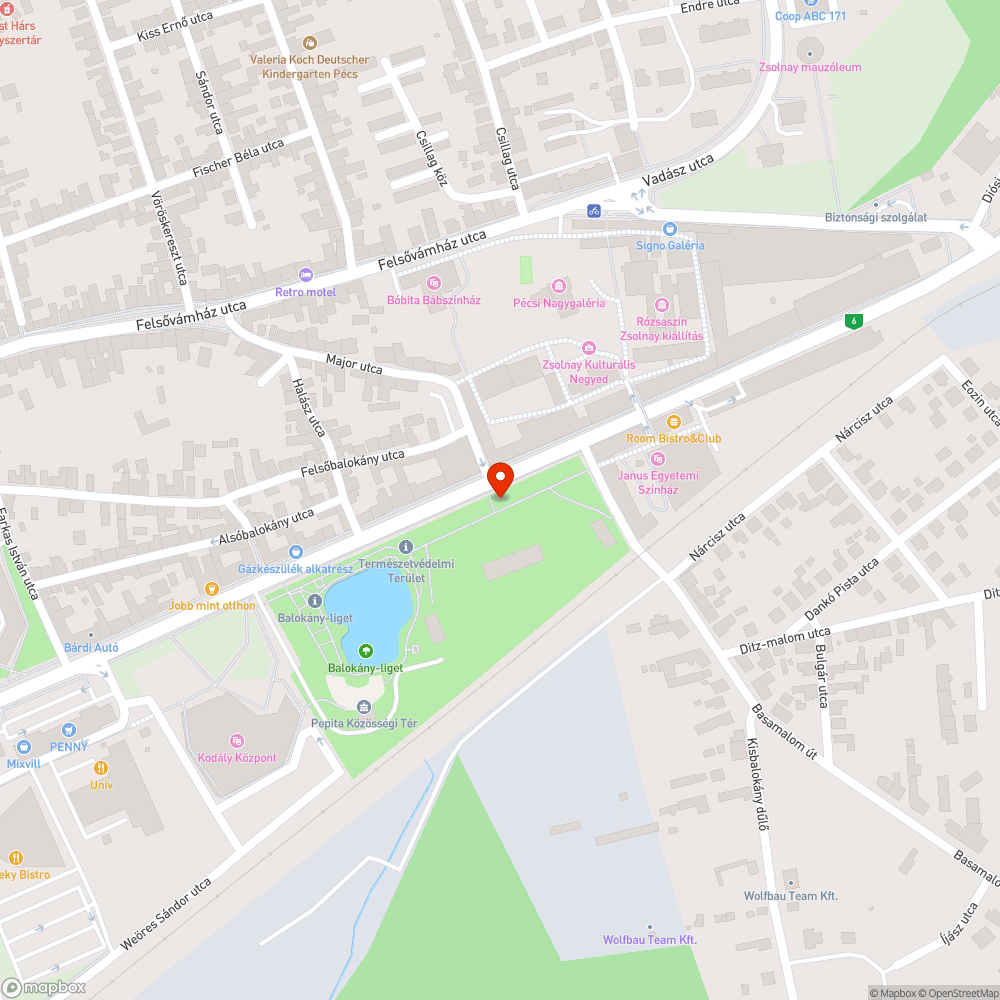 Balesetveszélyes letört, lelógó faág bejelentés helye