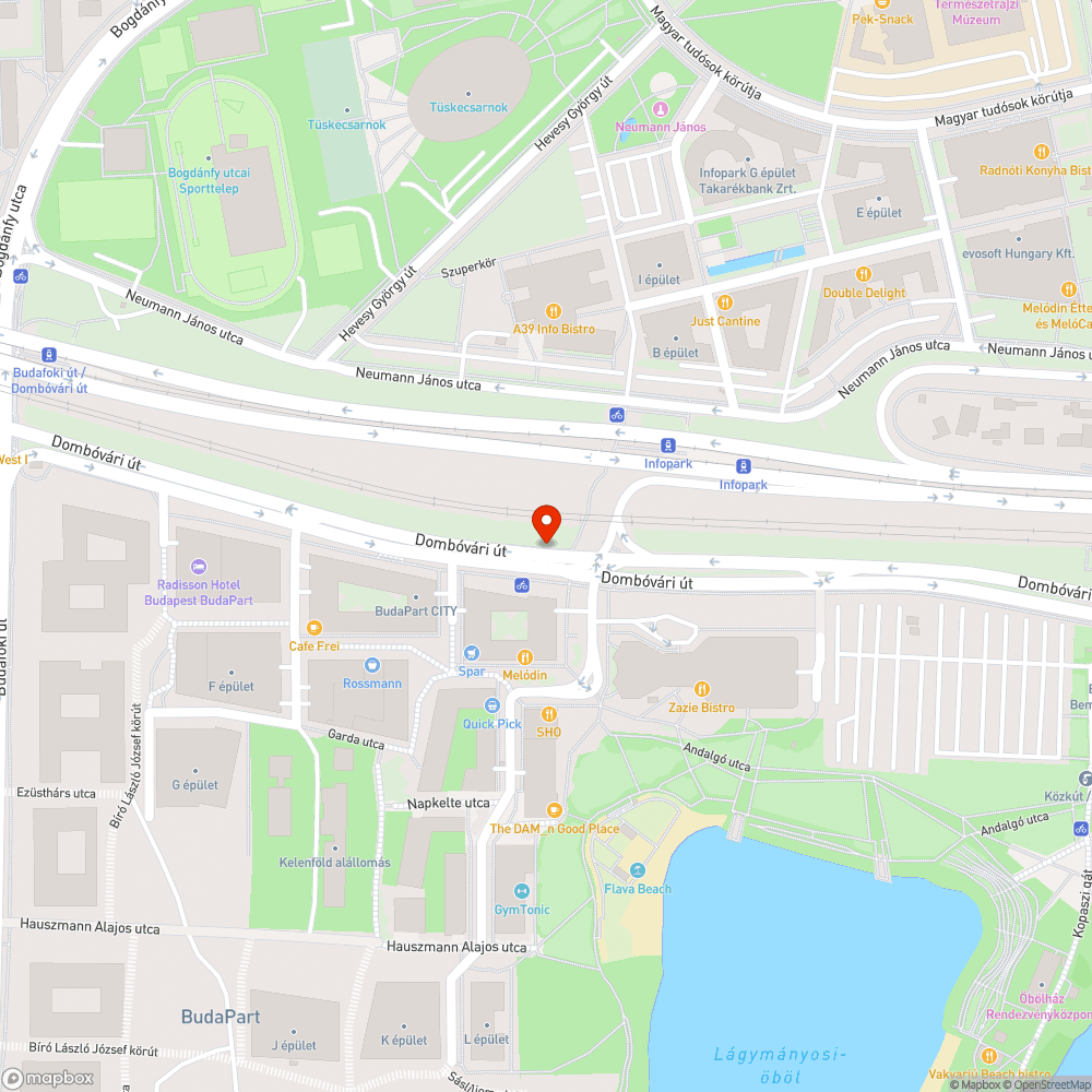 Budapart buszmegálló kiszáradt fa bejelentés helye