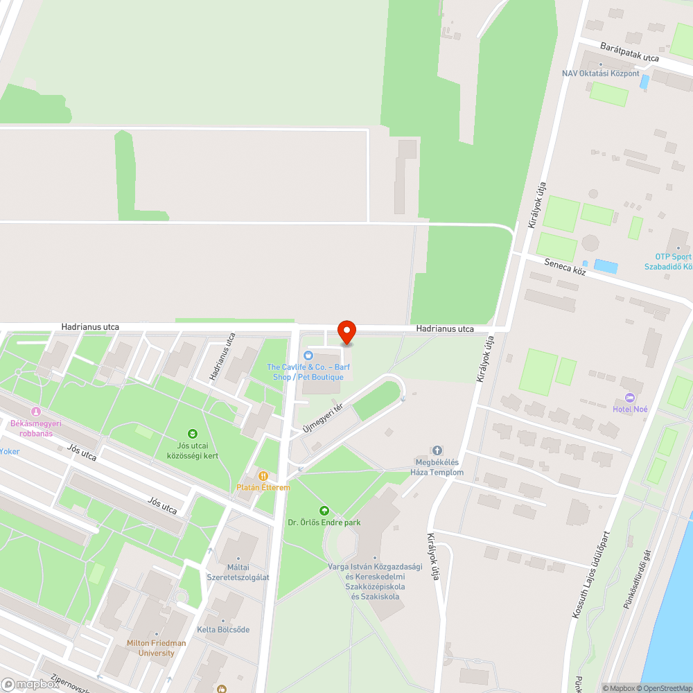 Fűben eldobott hulladék bejelentés helye