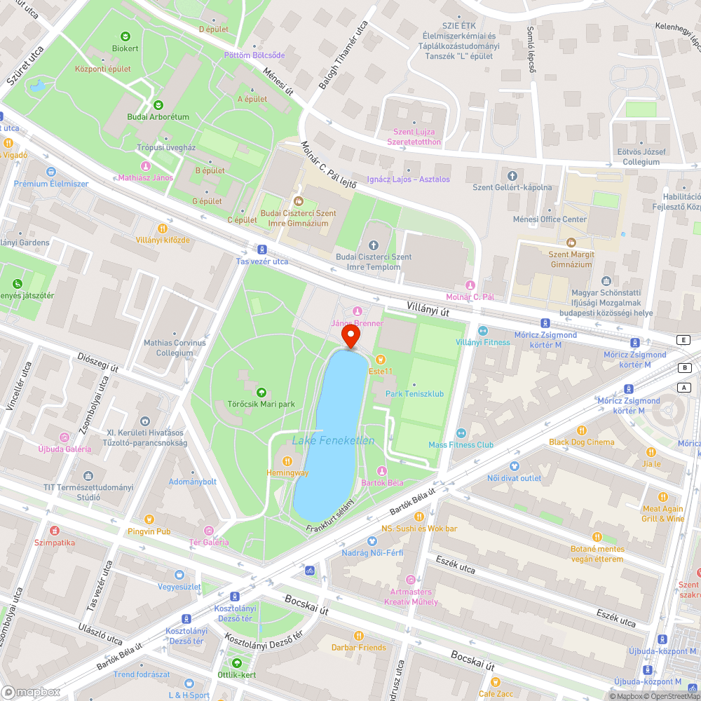 Folyamatosan elszórt szemét a Törőcsik Mari parkban bejelentés helye