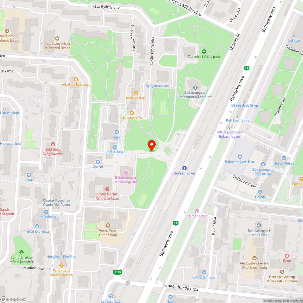 Halott fa bejelentés helye