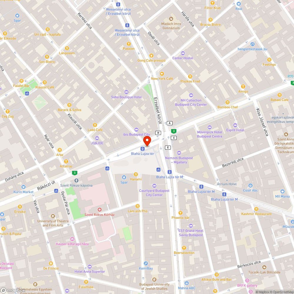 Blaha Lujza tér szemét - Budapest Főváros bejelentés helye