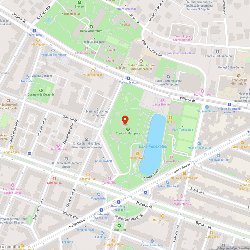 A varjak kihordják a szemetet a kukákból bejelentés helye