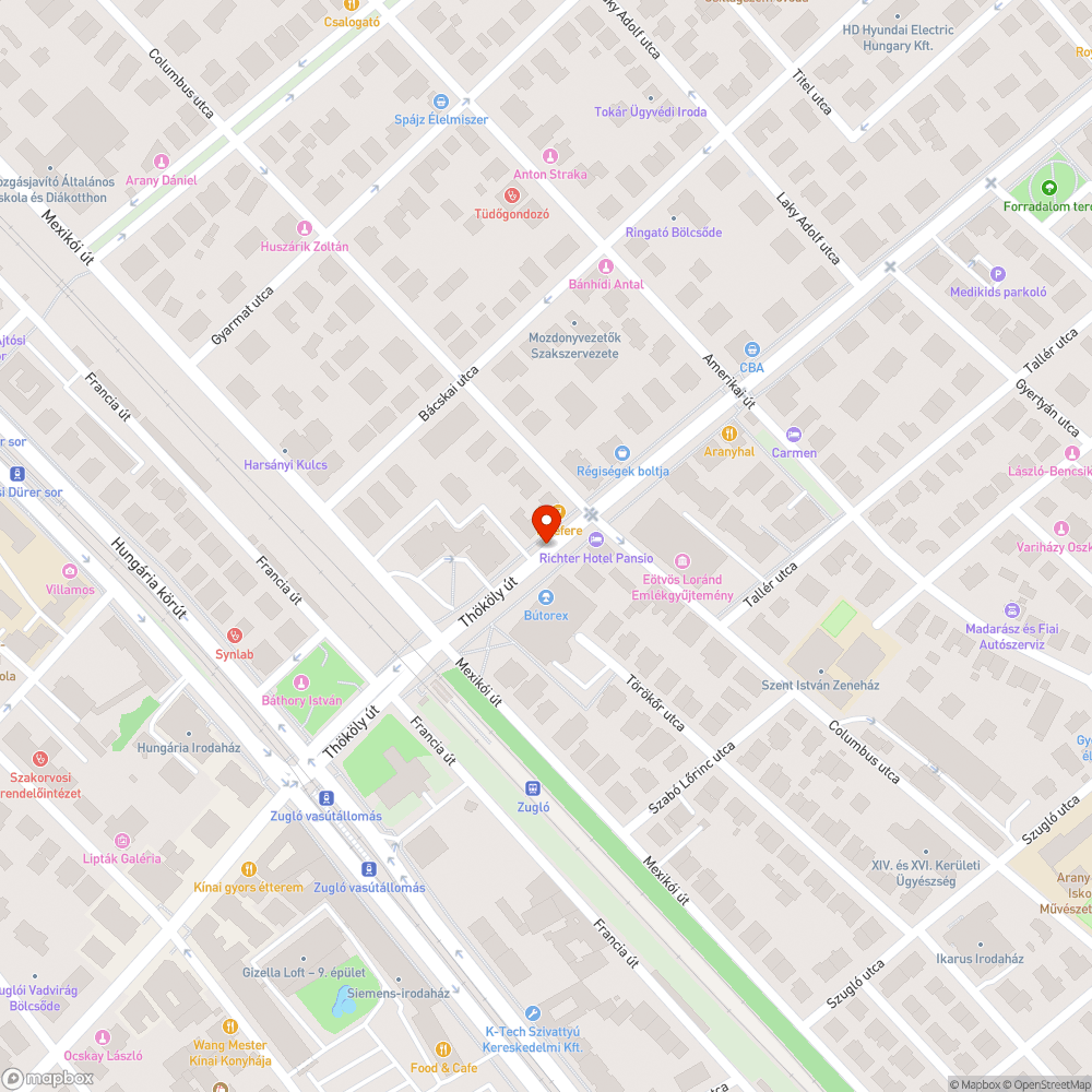 Évek óta takarítatlan fatövek. bejelentés helye