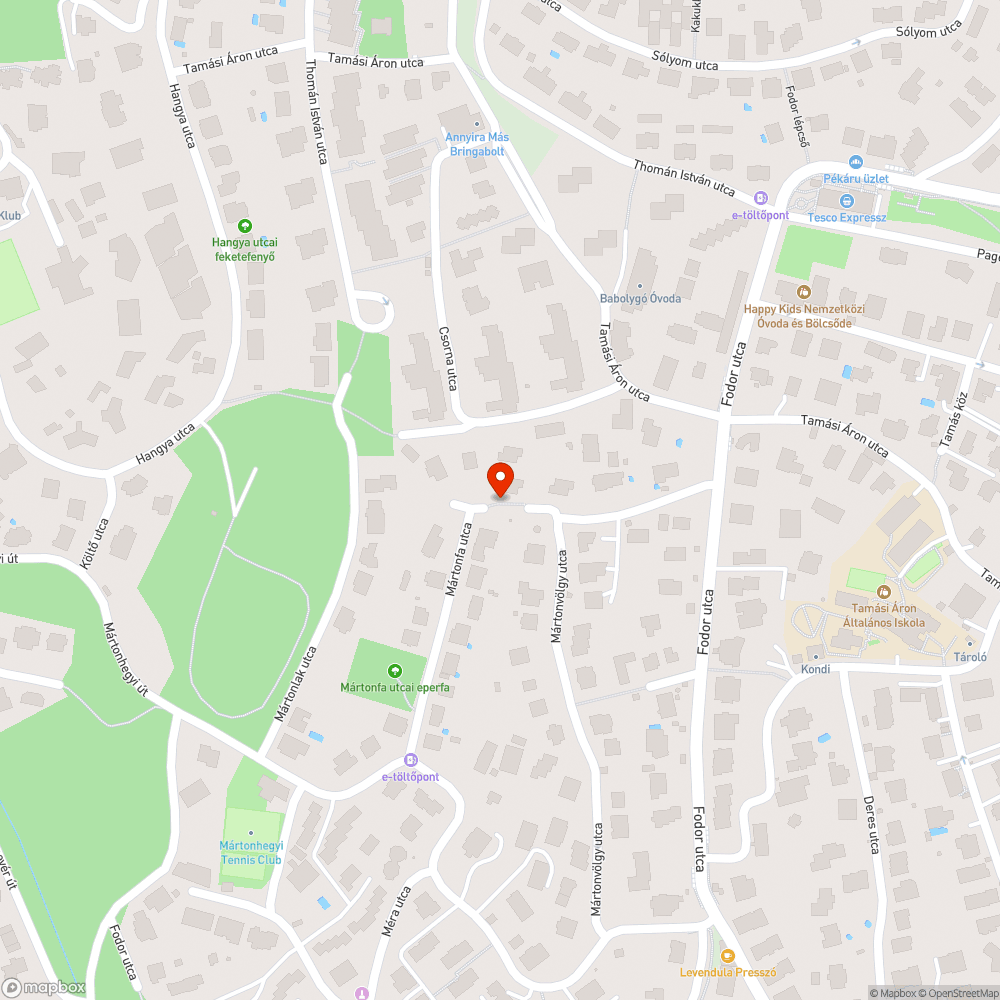 Lépcsőt benőtte a növényzet bejelentés helye