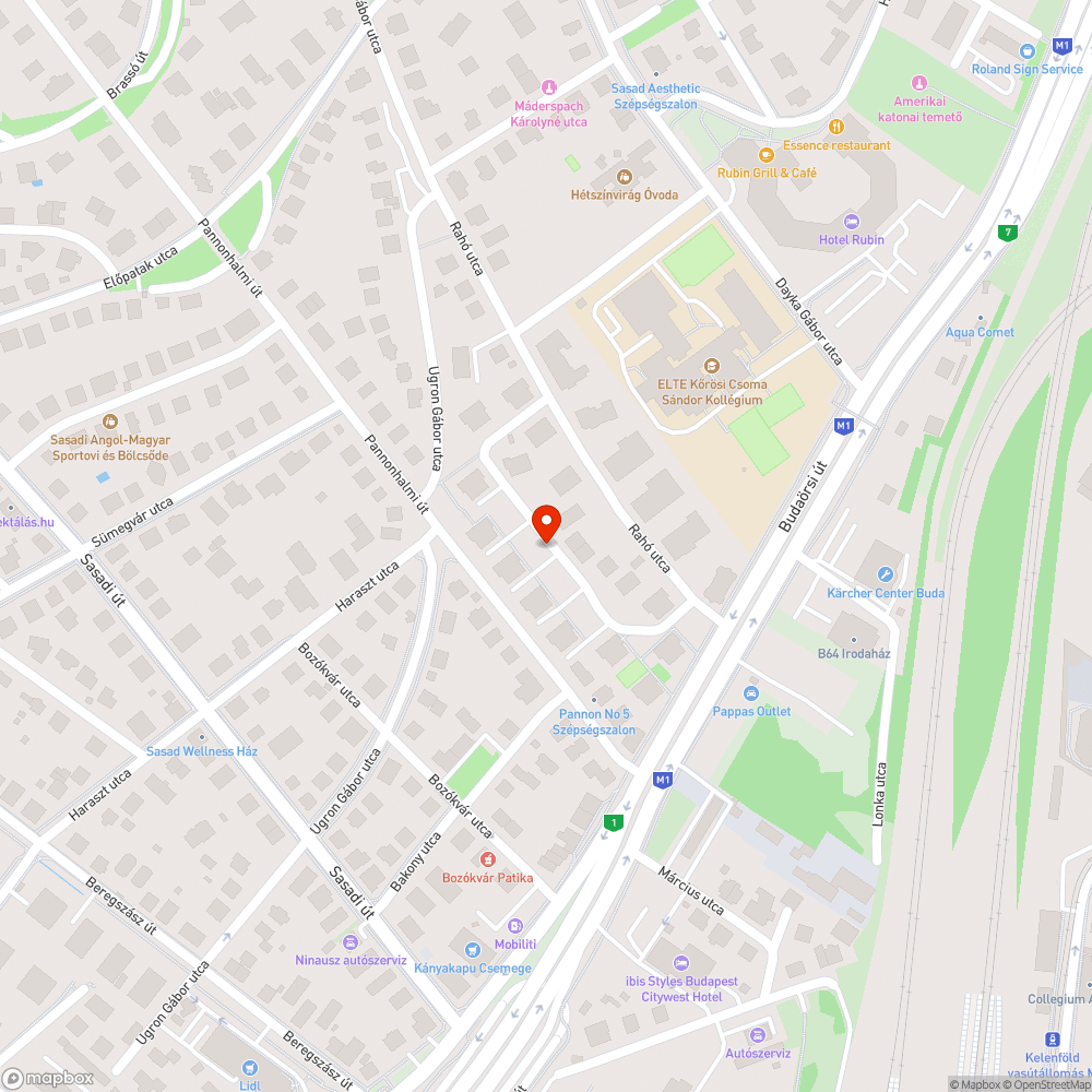 Utcalámpa levelek takarásában Rahó utca bejelentés helye