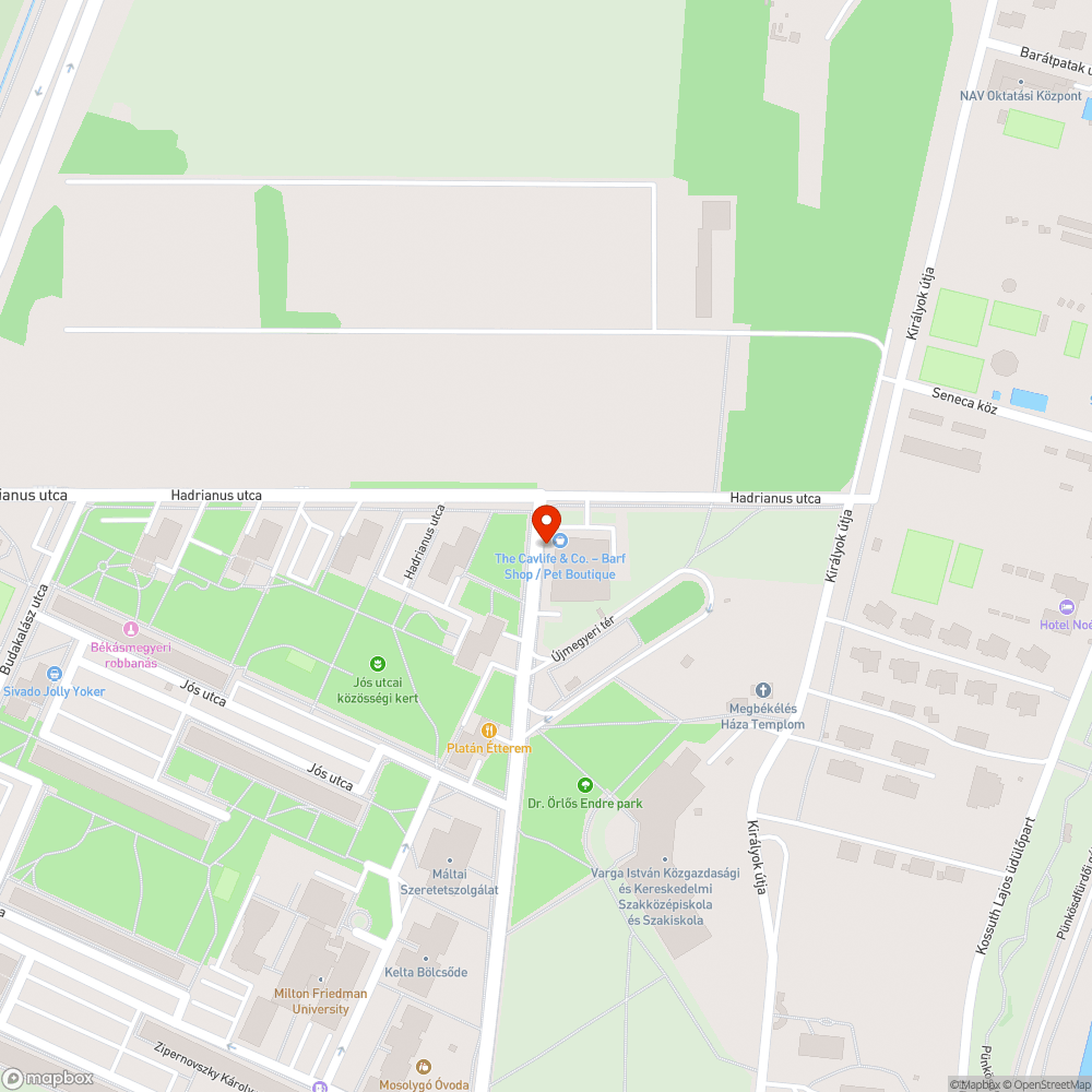 Halott galamb bejelentés helye