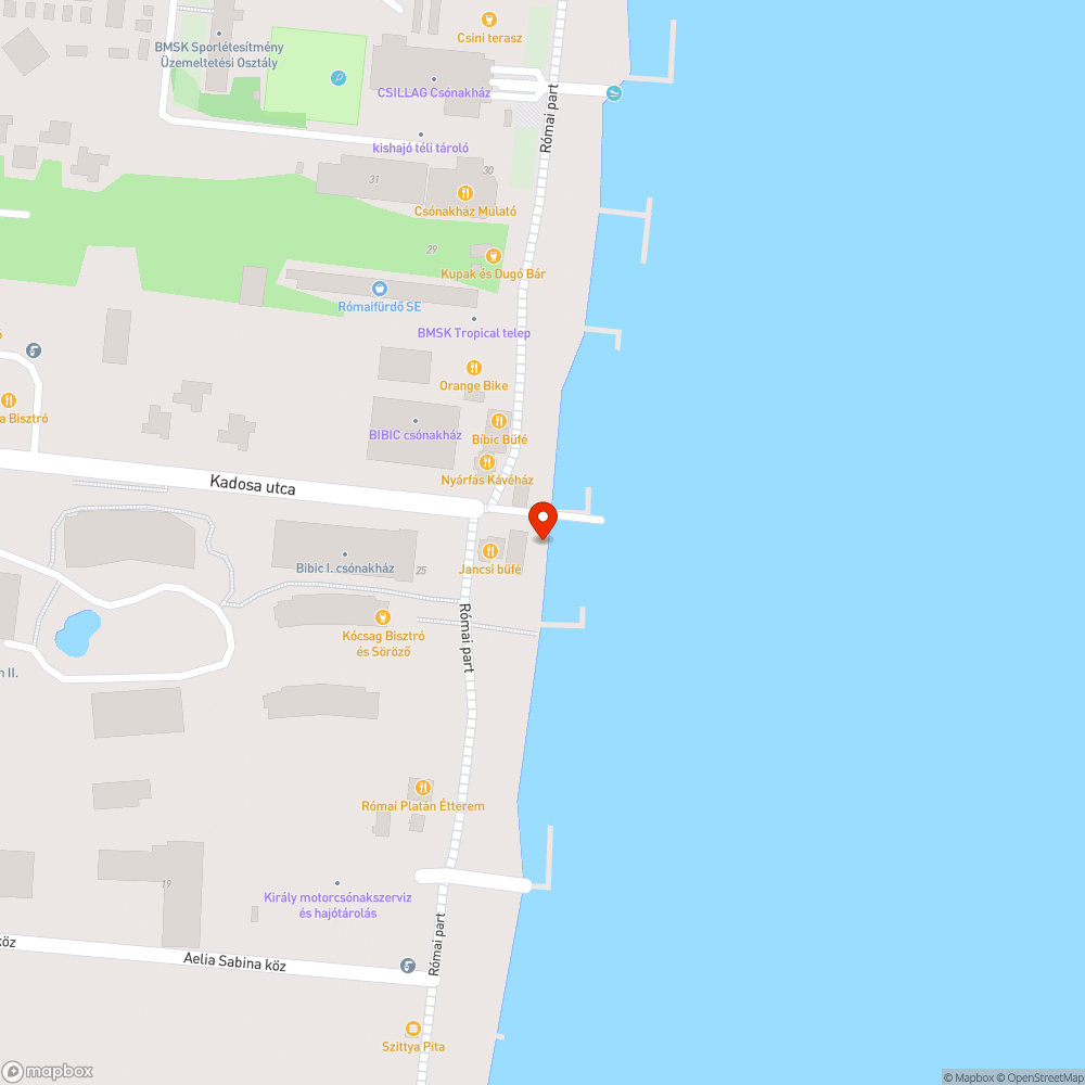 Levágott ágak a vízparton bejelentés helye