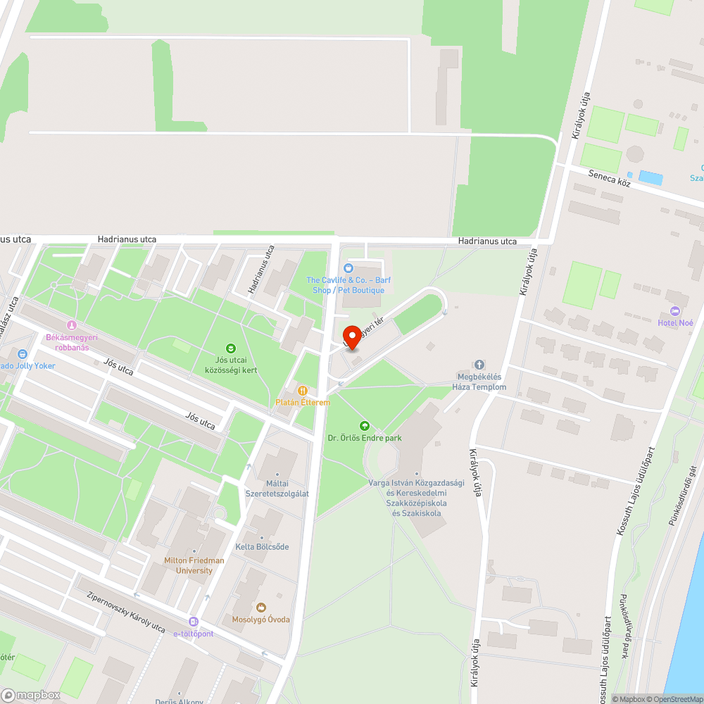 Hatalmas a fű a buszvégállomásnál bejelentés helye