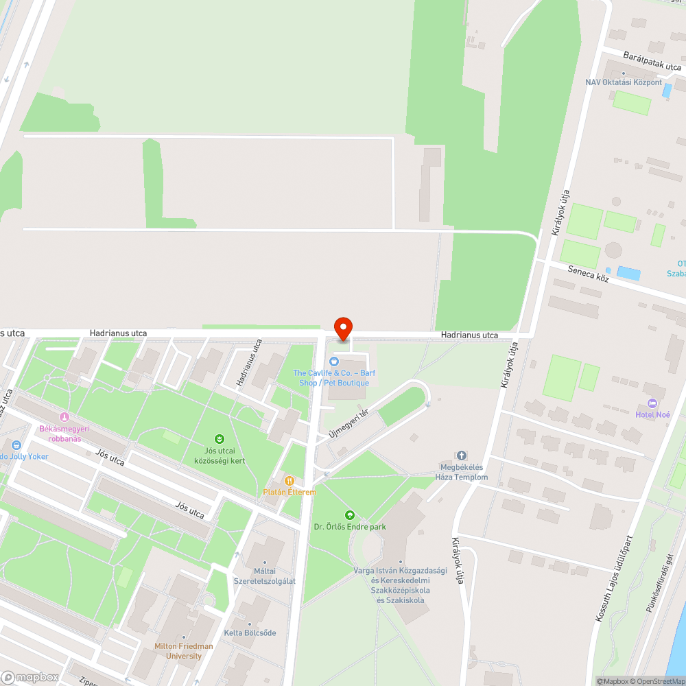 Halott fa bejelentés helye